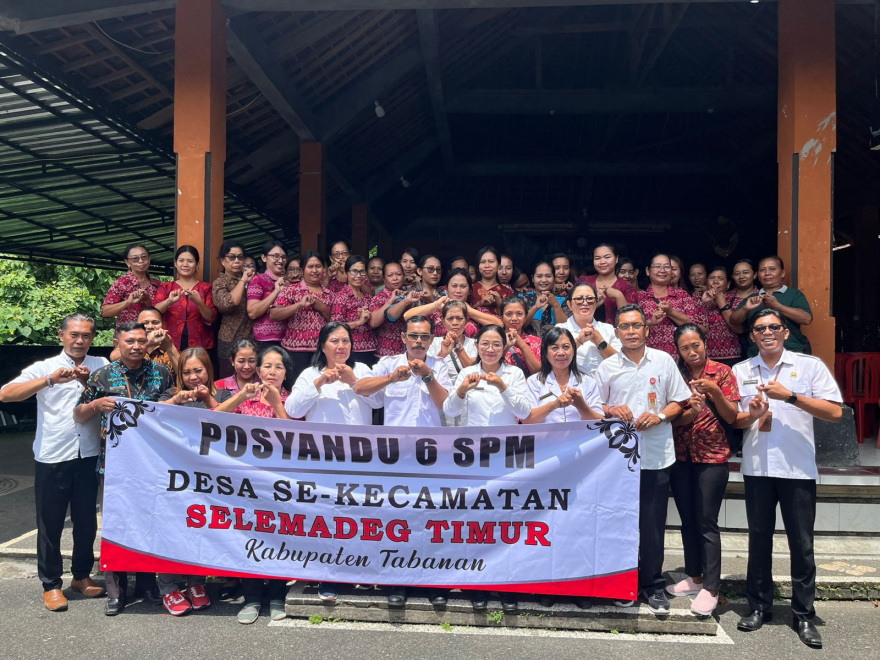 Pembinaan Kader Posyandu 6 SPM